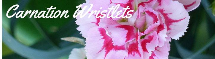Carnation Wristlets