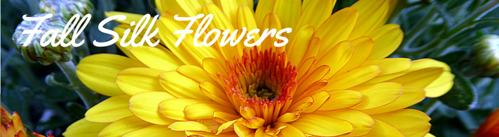 Fall Silk Flowers