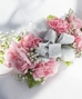 Carnation Wristlets