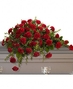 Casket Covers