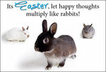 eCard