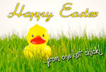 eCard