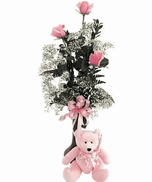 Pretty Little Rosebuds