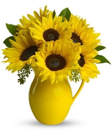 Sunny Pitcher of Sunflowers